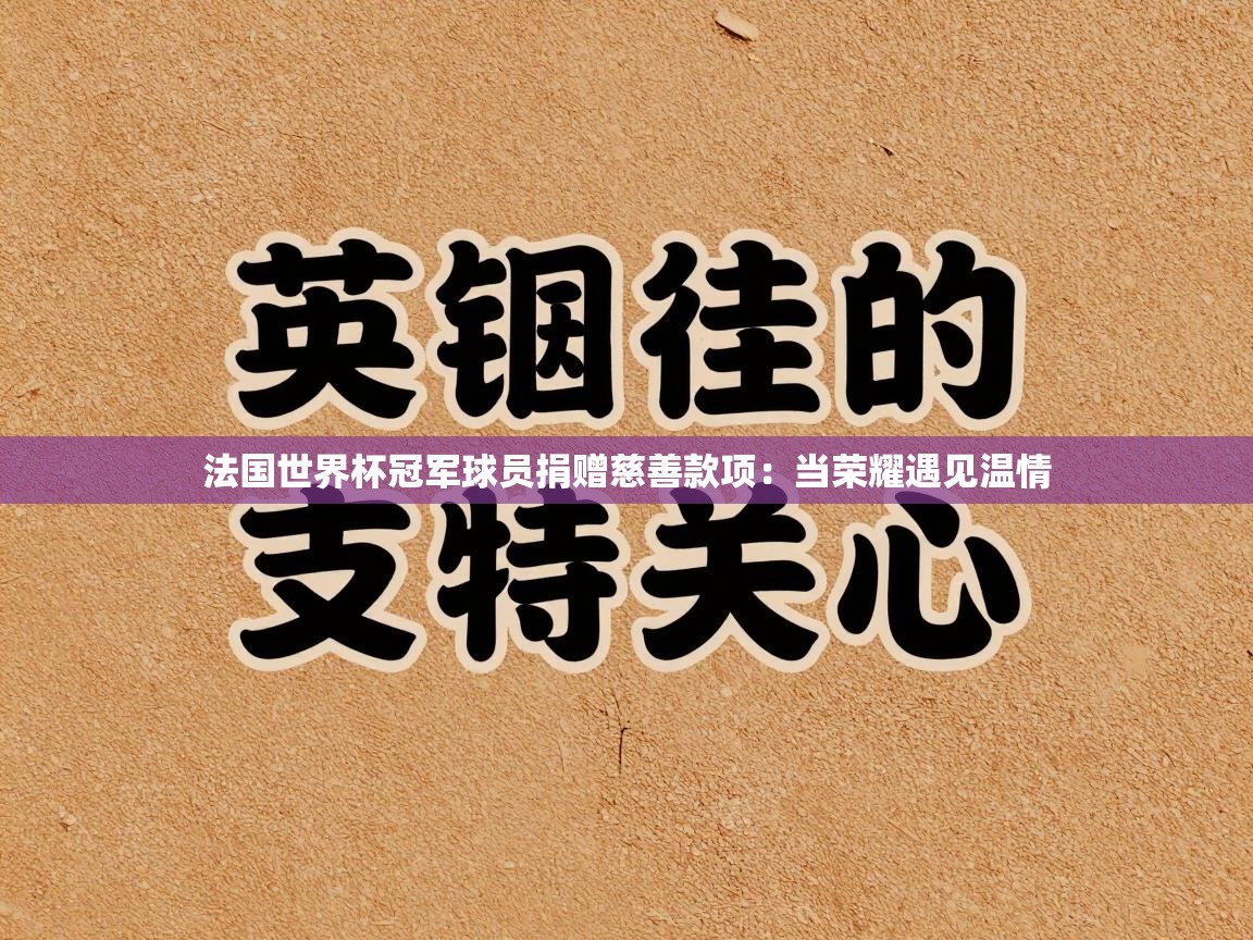 法国世界杯冠军球员捐赠慈善款项：当荣耀遇见温情  第2张