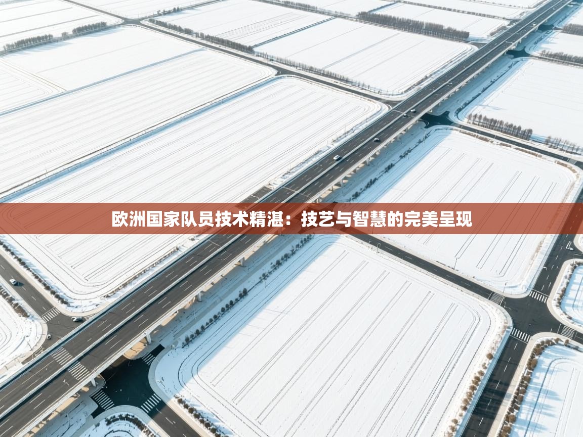 欧洲国家队员技术精湛：技艺与智慧的完美呈现