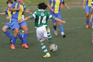 星空体育平台星空体育中国官网-蒙特雷主场优势明显，球迷期待逆转奇迹